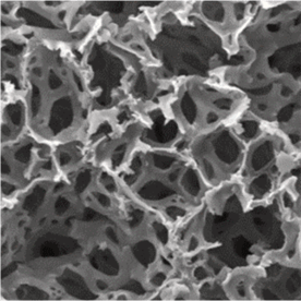 REPROCELL Brand: Alvetex